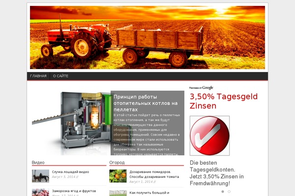 Codilight Lite theme site design template sample