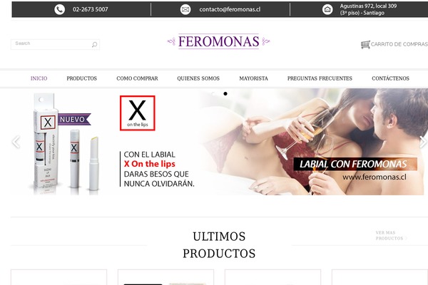 Legenda theme site design template sample