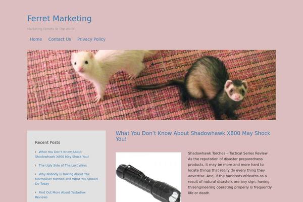 ferretmarketing.com site used kanagata