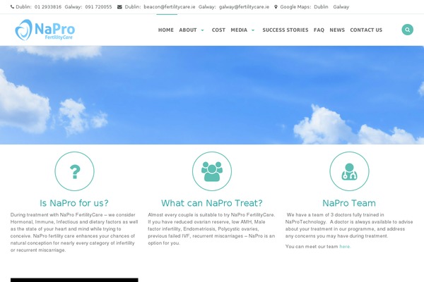 Liquida theme site design template sample
