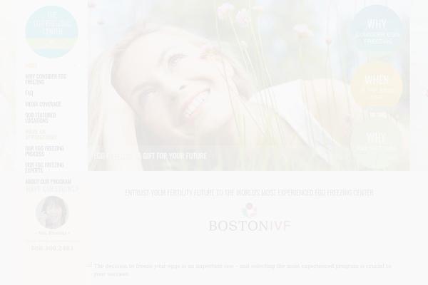 Socha theme site design template sample