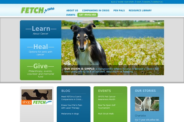 fetchacure.com site used Fetchacuretheme