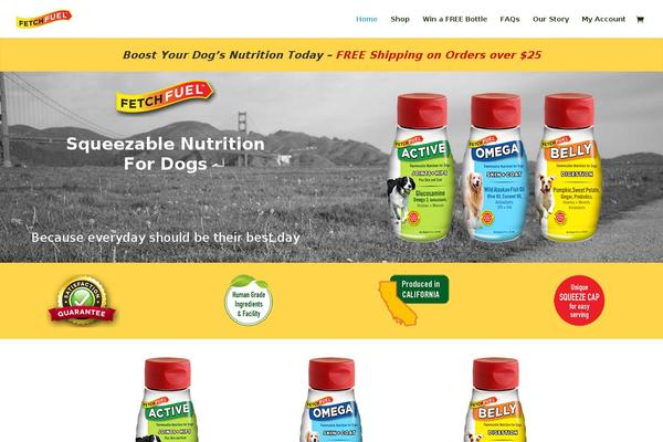Divi Child theme site design template sample