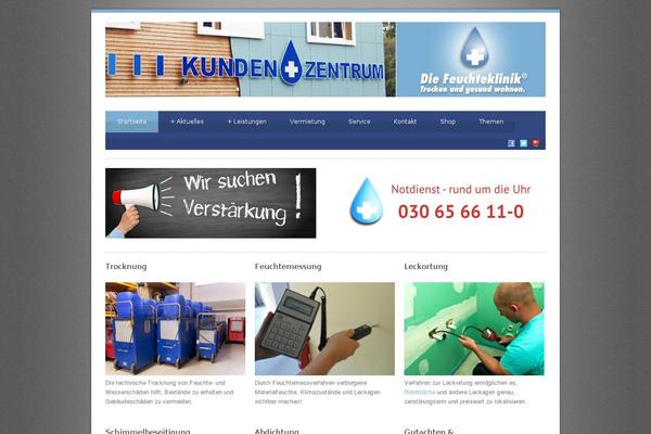 bluediamond-v1-07 theme websites examples