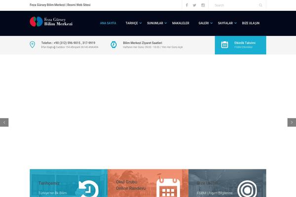 Tema theme site design template sample
