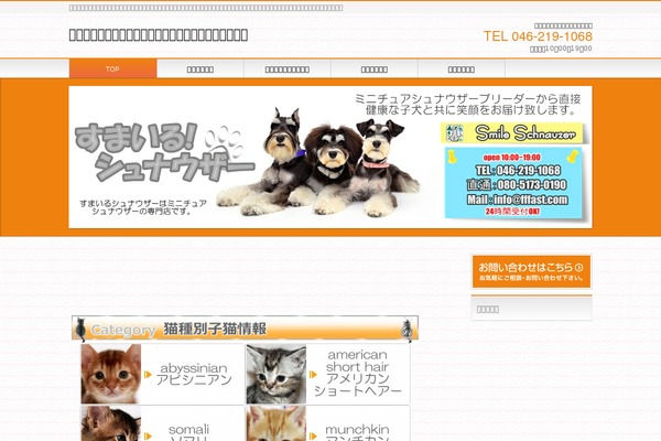 Site using CKEditor for WordPress plugin