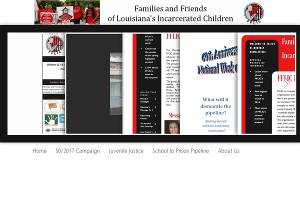 Site using Embed-pdf-viewer plugin