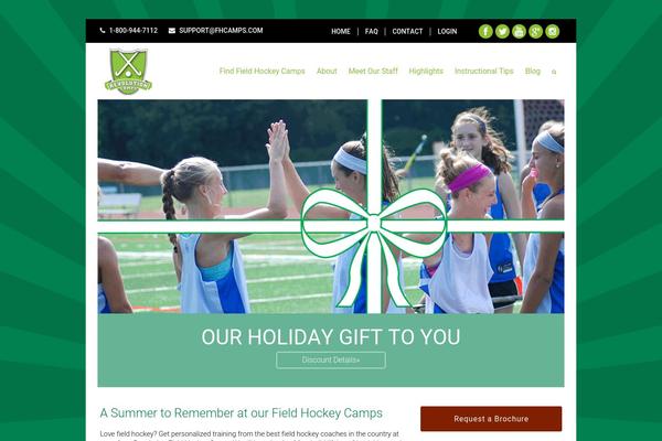 Site using Responsive Lightbox by dFactory plugin