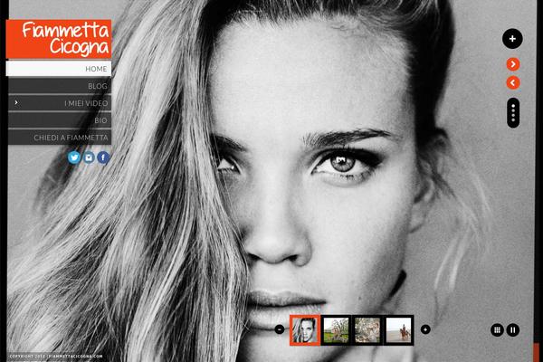 Kaleido theme site design template sample