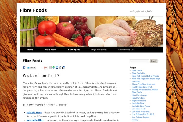 Twenty Ten theme site design template sample