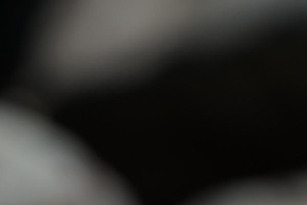 Site using Pilotpress plugin