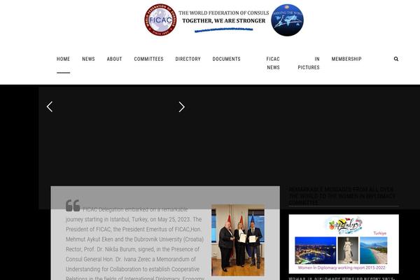 H-code theme site design template sample