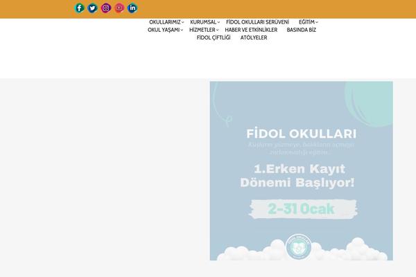 Site using Dflip plugin