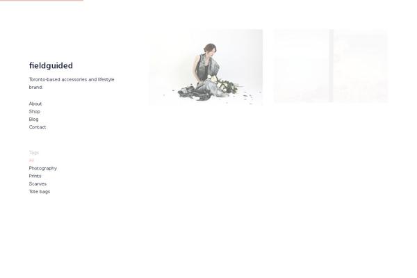 Site using Responsive WordPress Slider - HG Slider plugin