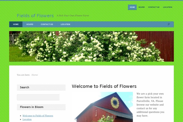 Unique theme site design template sample