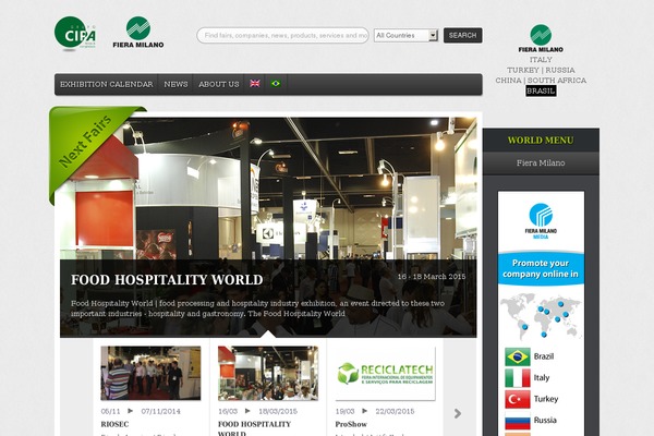 gdi theme websites examples