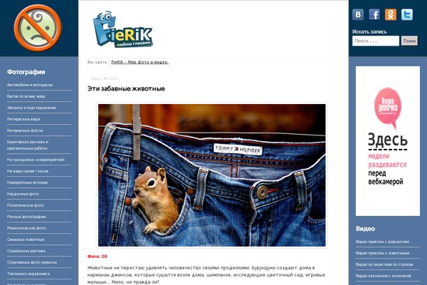 fierik.ru site used Fluidzine