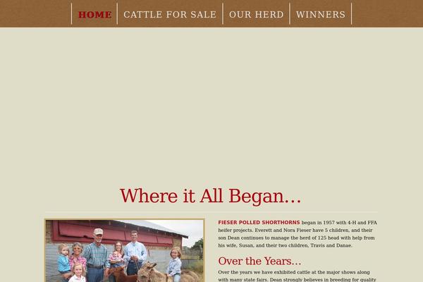 X Child theme site design template sample