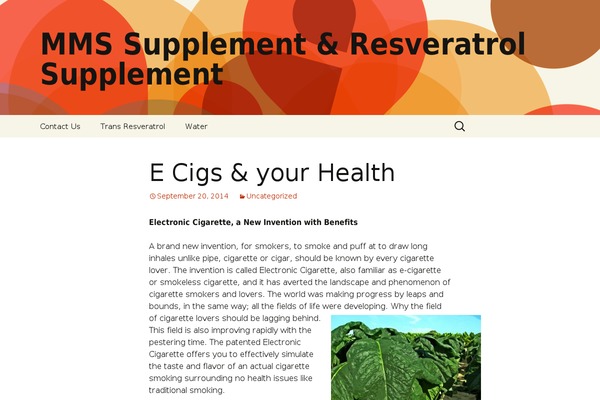 Twenty Thirteen theme site design template sample