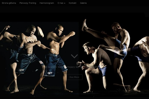 Site using Social Icons plugin