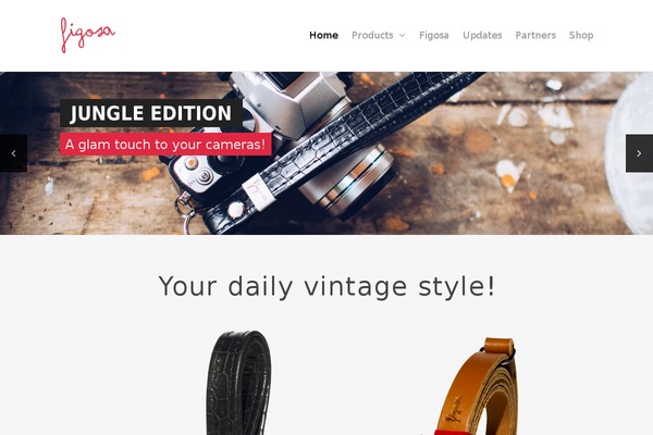 Elegant theme site design template sample