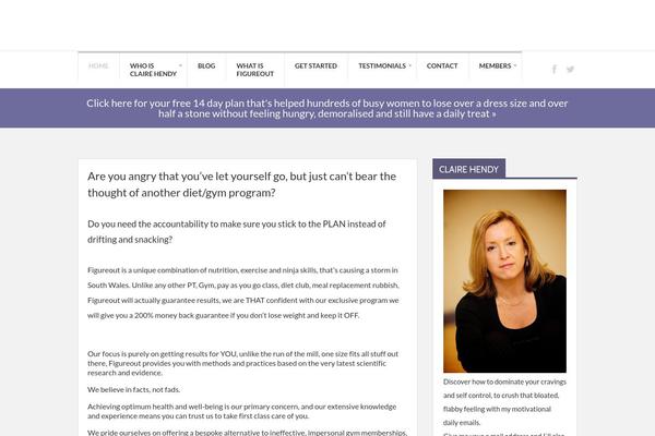 Performag theme site design template sample