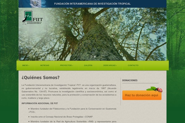 Webfolio theme site design template sample