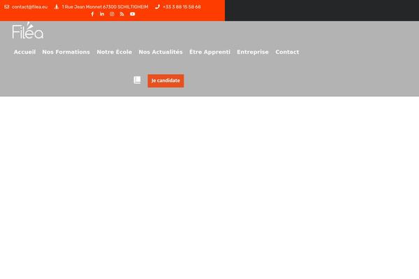 filea-formation.com site used Itsoft
