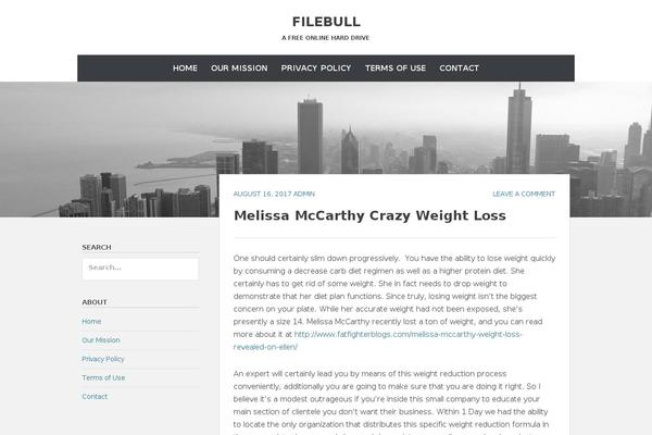 Chicago theme site design template sample