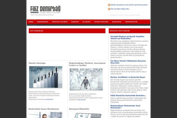 Gemer theme site design template sample