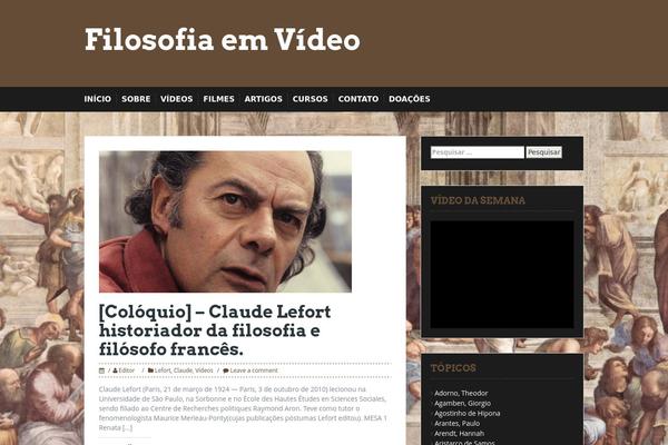 fv theme websites examples