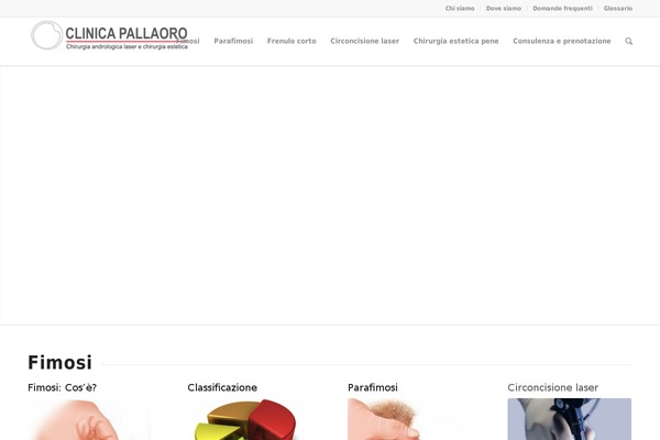 Site using BJ Lazy Load plugin