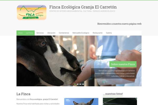 Accelerate theme site design template sample