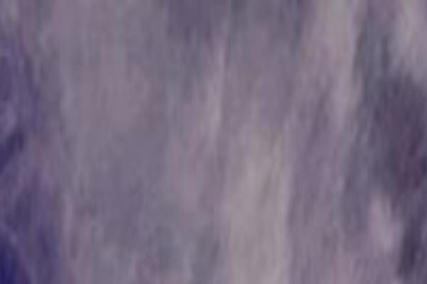 Site using Related Posts plugin