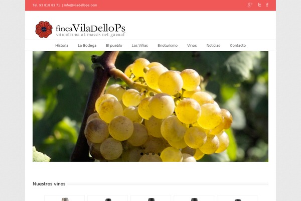 Site using Woocommerce-appointments plugin