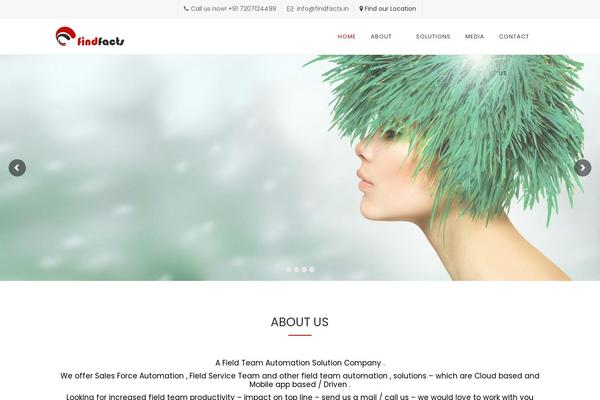 Apicona theme site design template sample