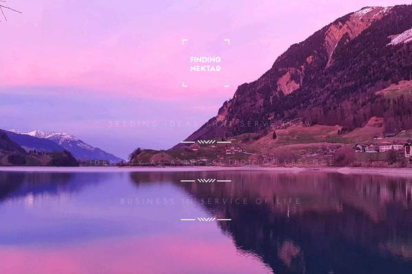 Phoenix theme site design template sample