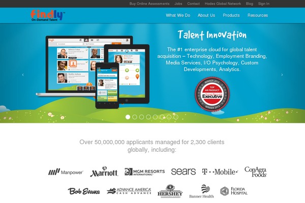 enfold-findly theme websites examples