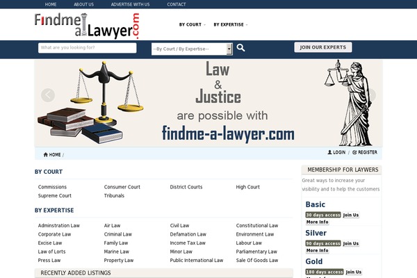 DT41 theme websites examples