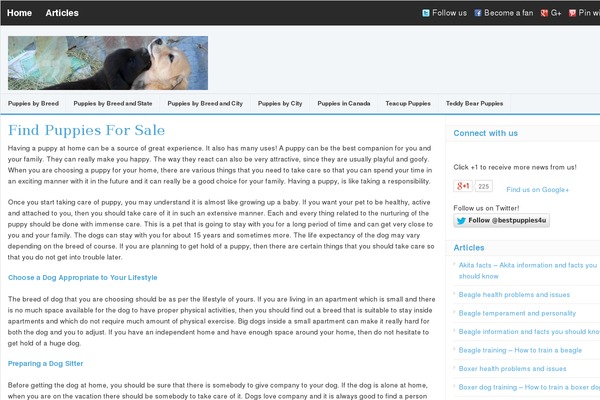 Daily theme site design template sample