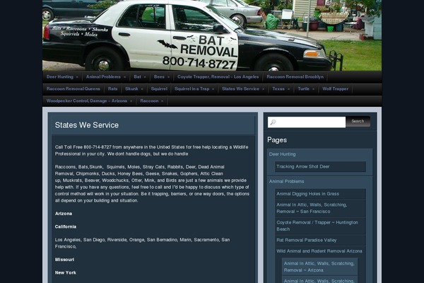 Chip Zero theme site design template sample