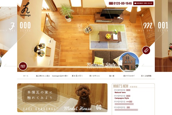 Flc theme site design template sample