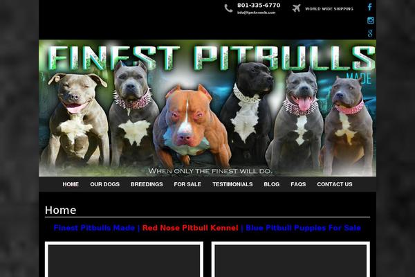 finestpitbullsmade.com site used Daily Dish Pro