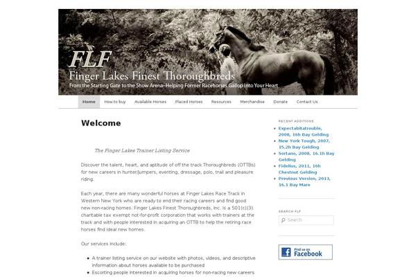 Twentyeleven-child theme site design template sample