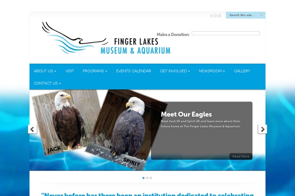 Chameleon theme site design template sample