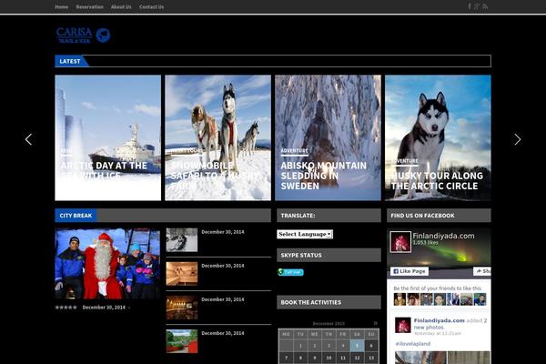 Solaris theme site design template sample