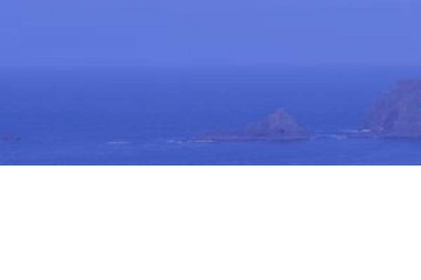 Site using Ocean-sticky-header plugin
