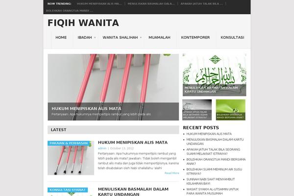 Point theme site design template sample