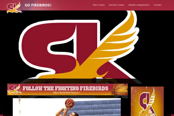 Soccer theme site design template sample