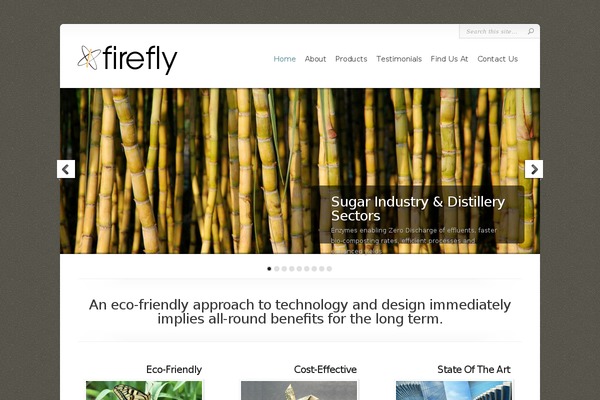 Chameleon theme site design template sample